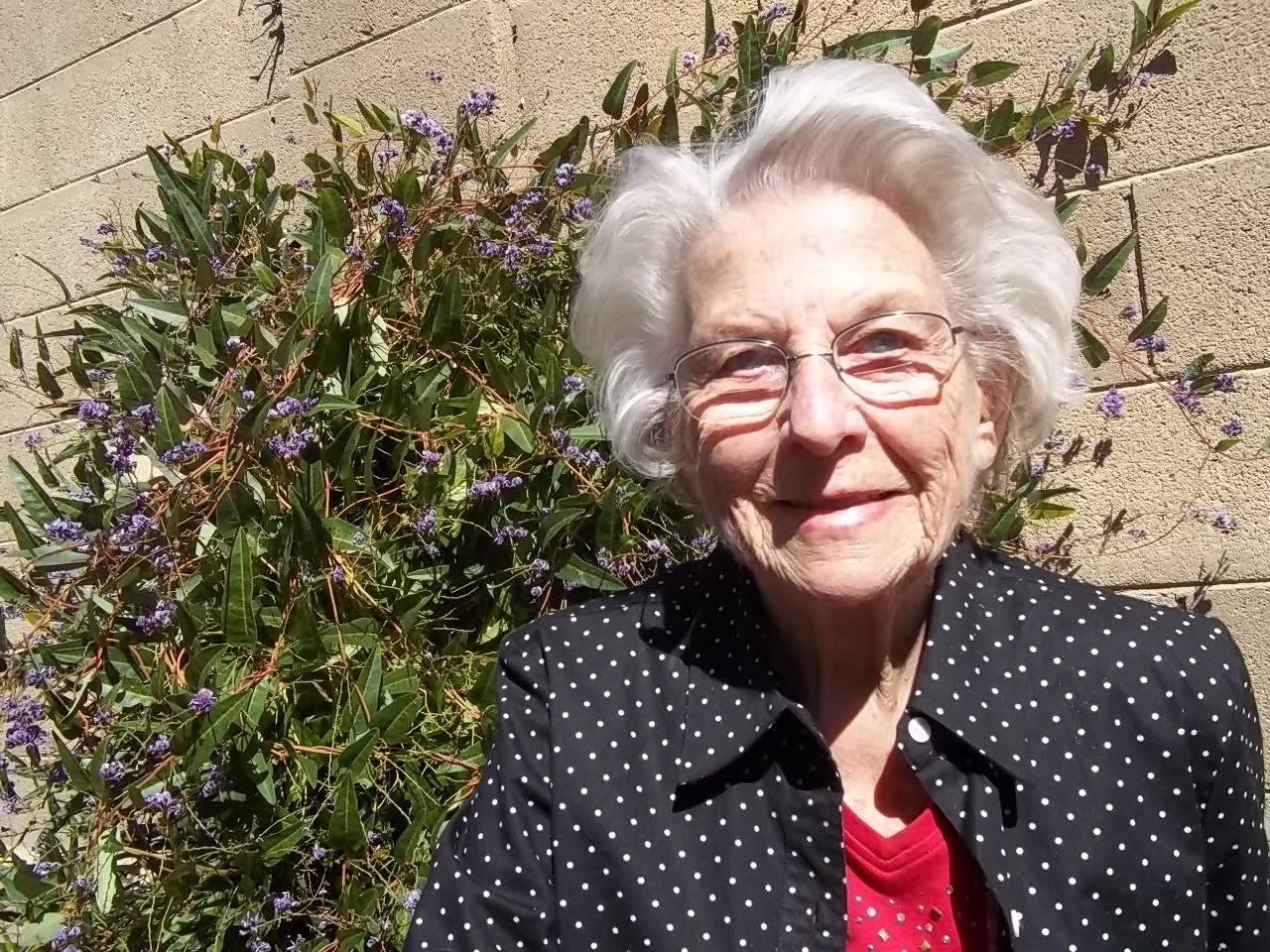 A VIP Assisted Living Care Home, LLC community photo 1