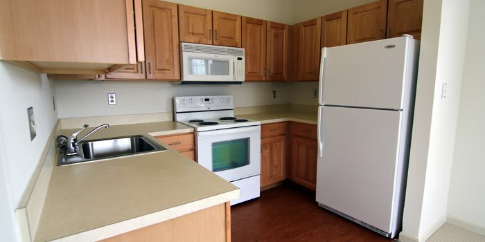 Tiber Hudson community photo 1