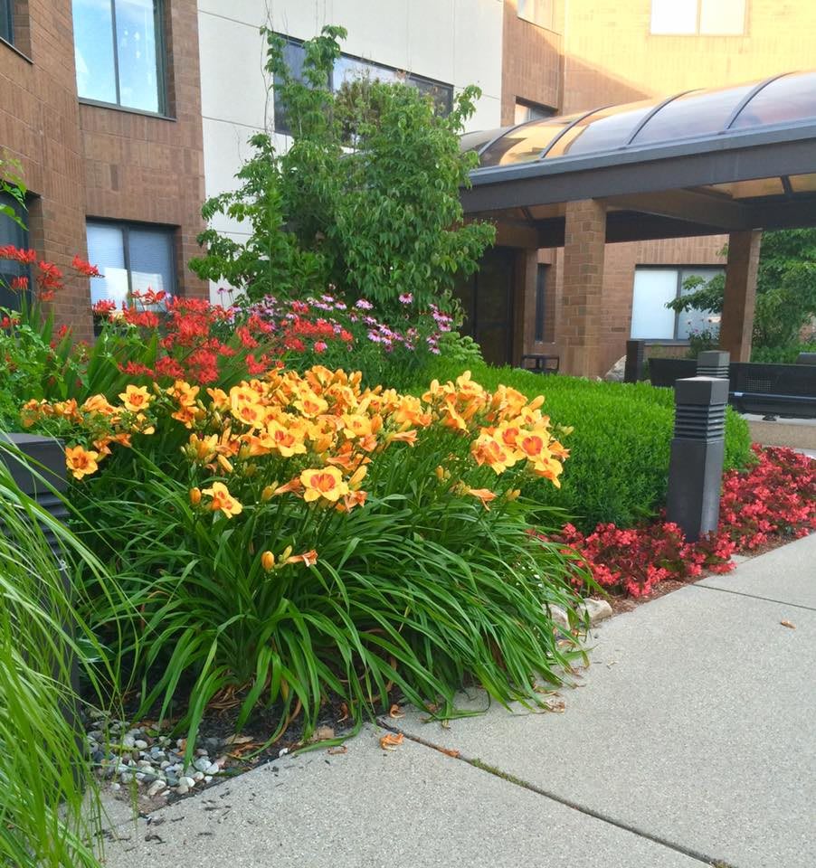Robbinswood community photo 1