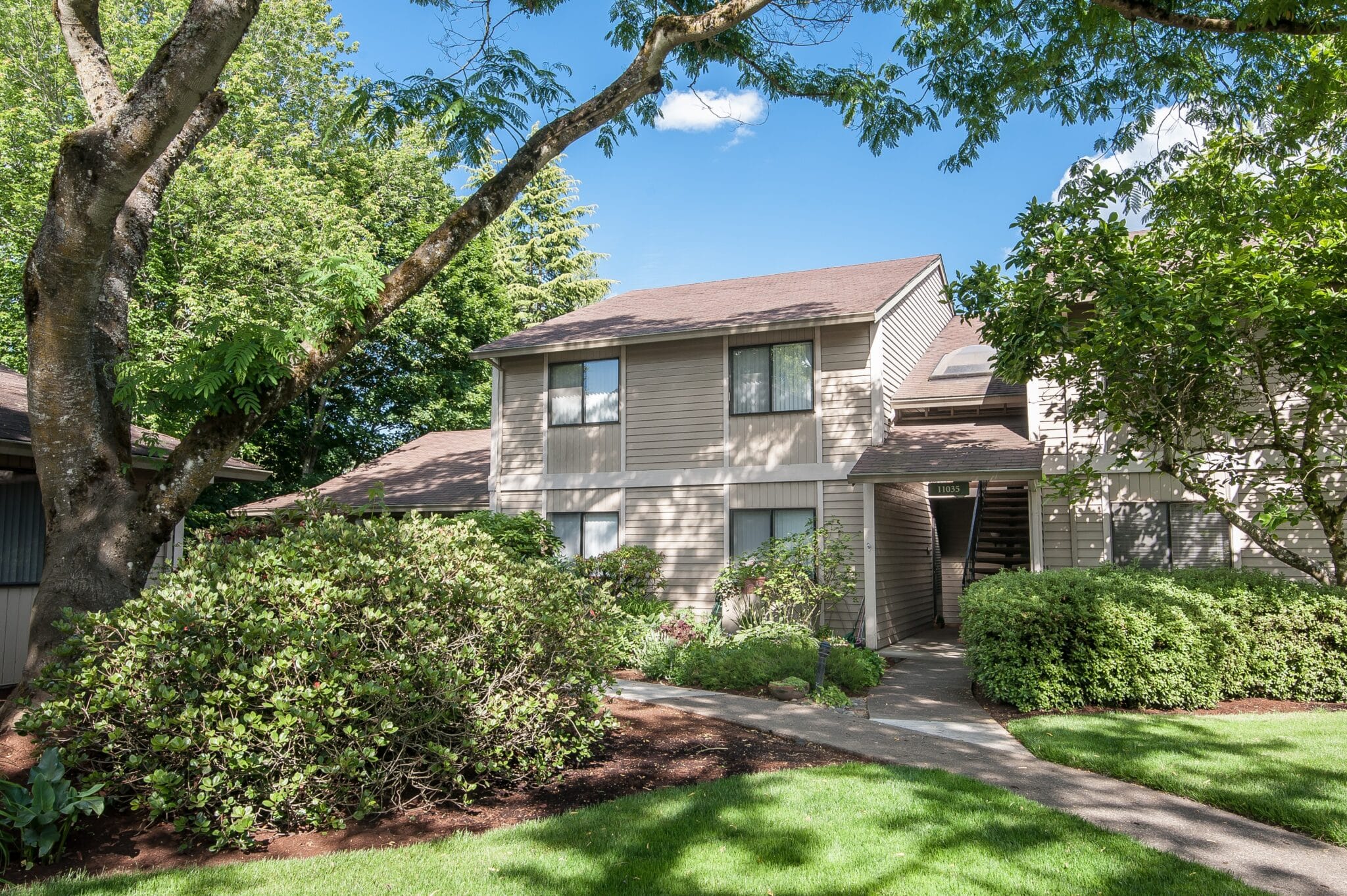 Summerfield community photo 1