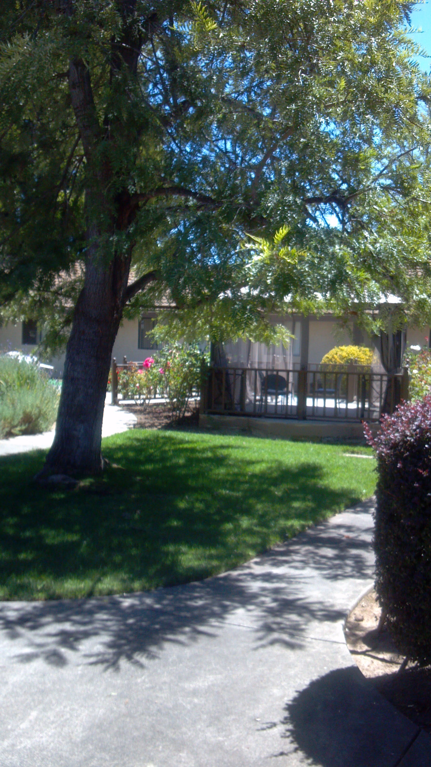Nazareth Rose Garden of Napa community photo 2