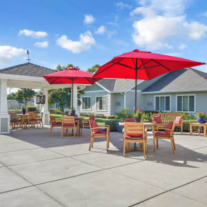 The Commons on Thorton