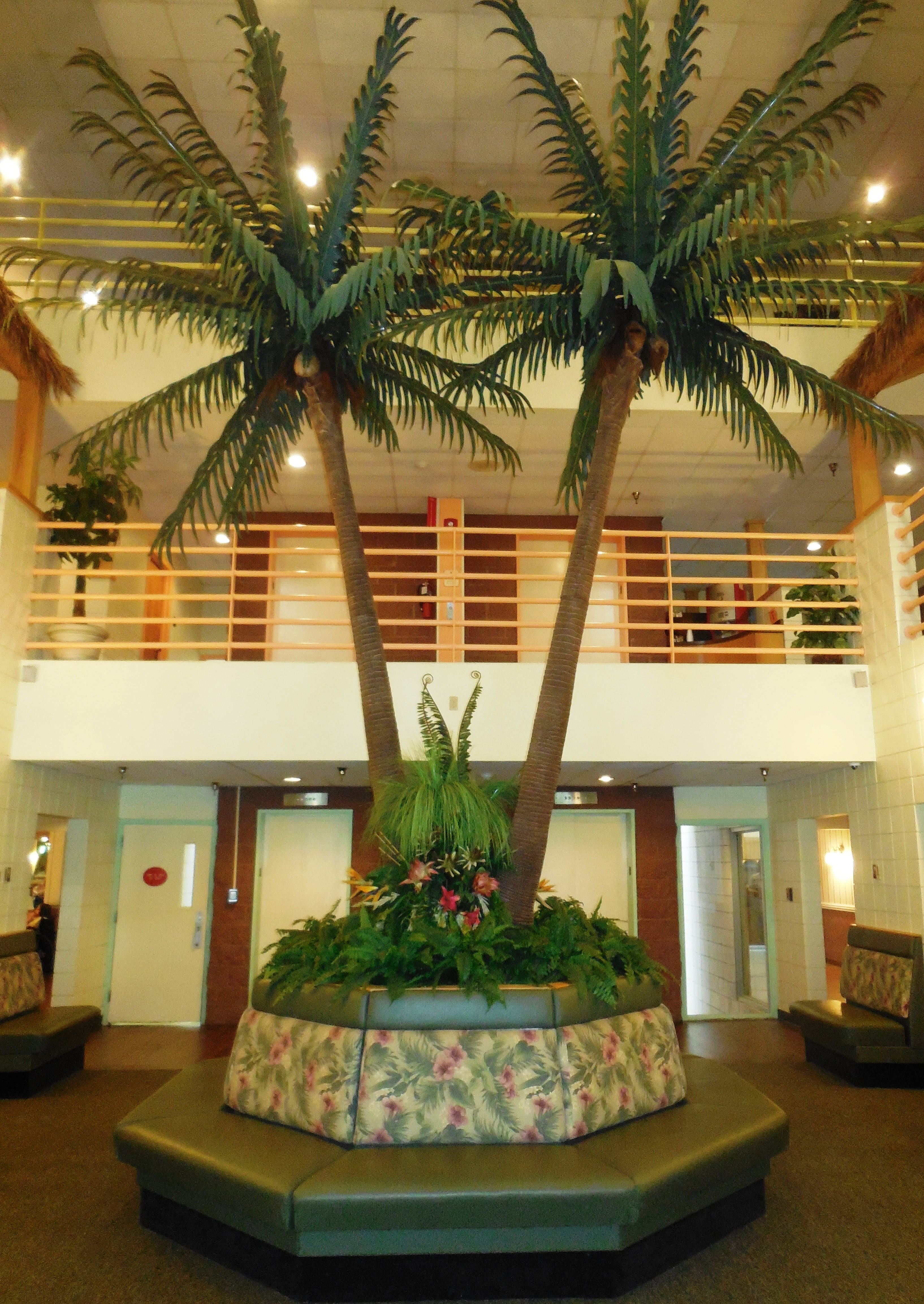 RC Palms community photo 4