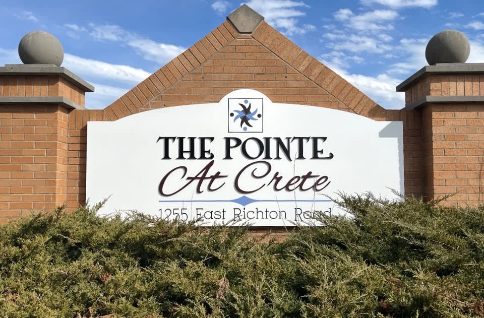 The Pointe at Crete community photo 1