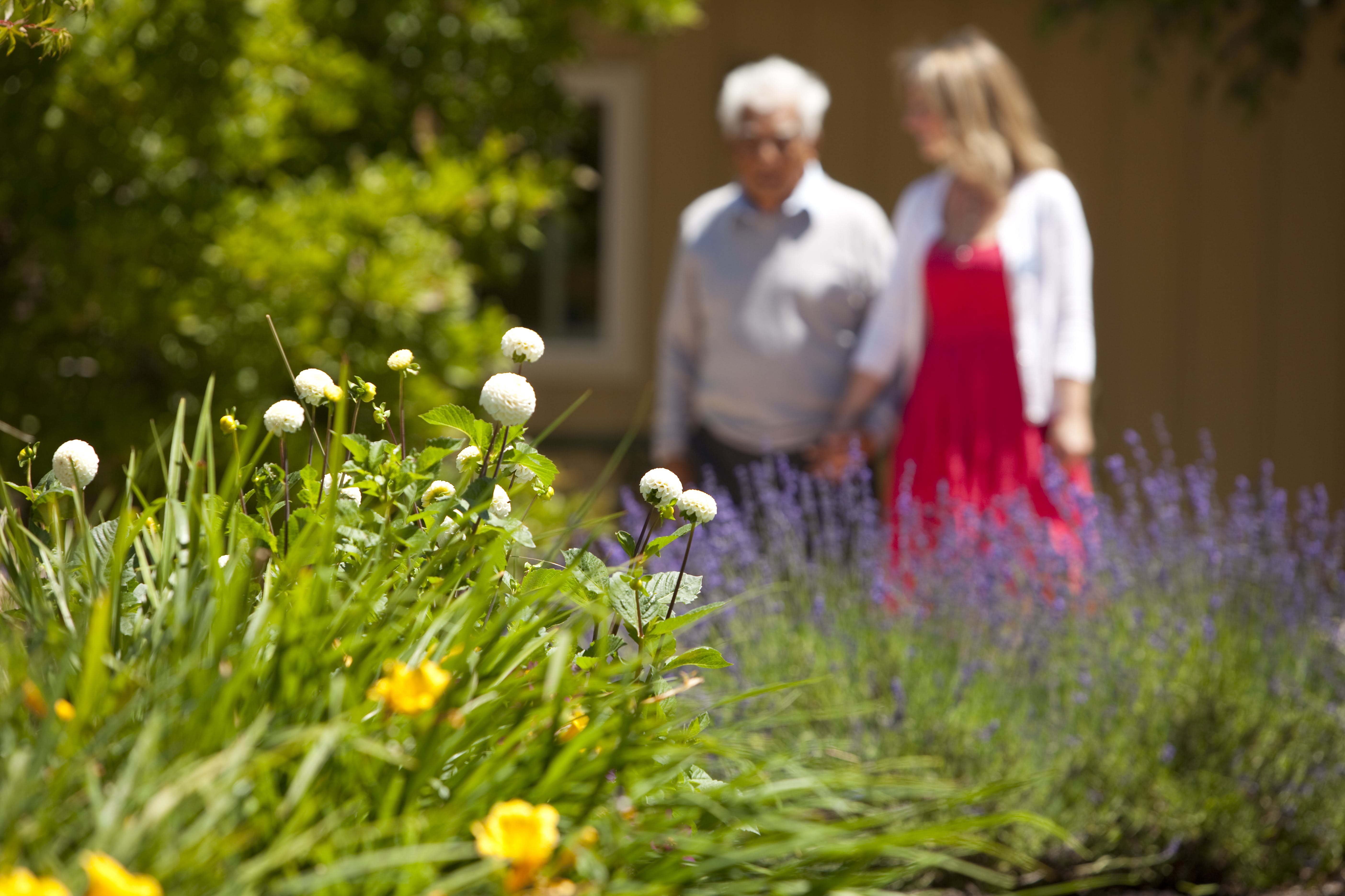Quail Crest Memory Care community photo 1