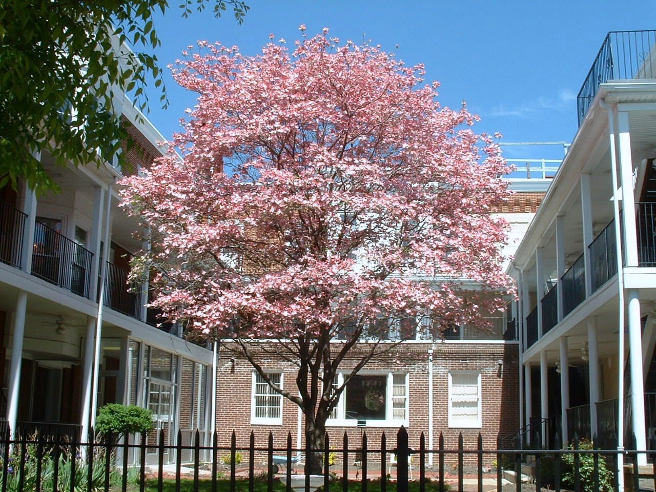 Penn Home community photo 1