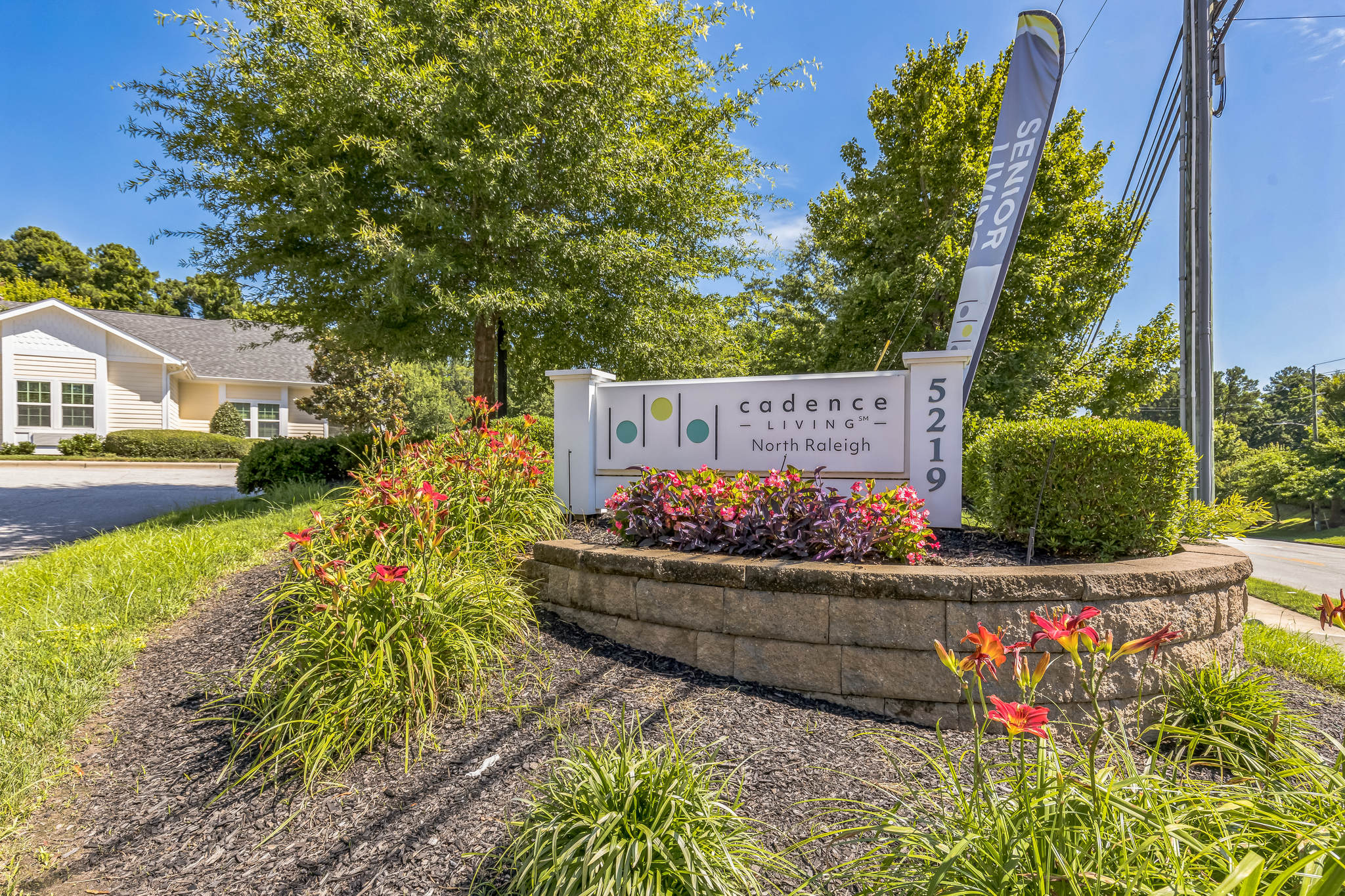 Cadence at North Raleigh by Cogir community photo 1