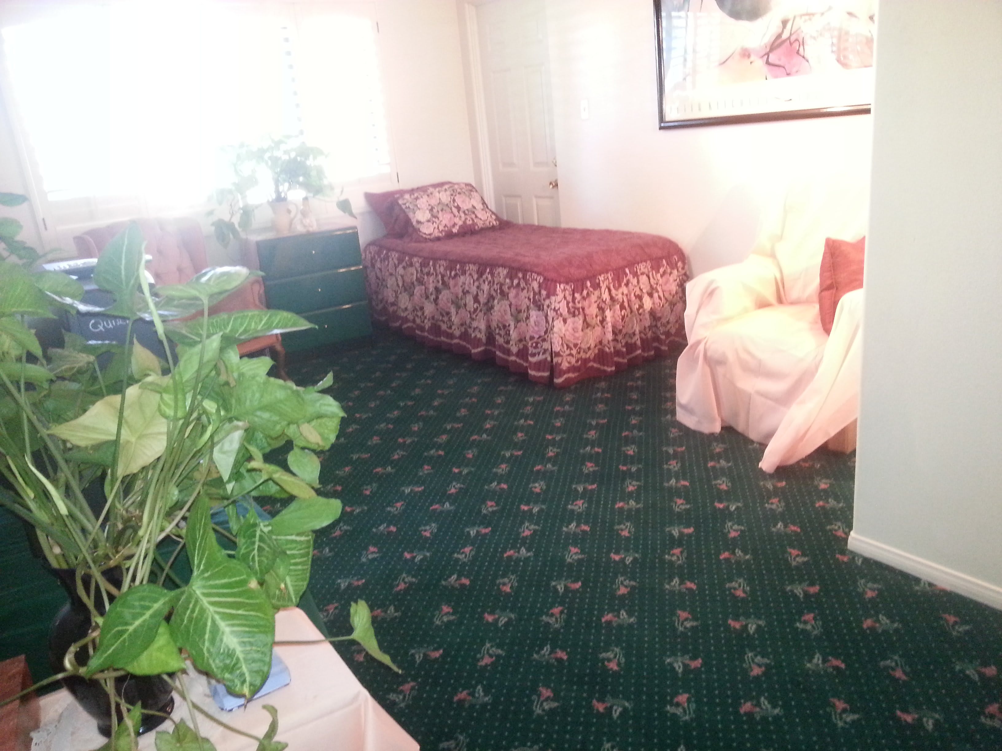 Carino's Quality Home Care, INC community photo 1