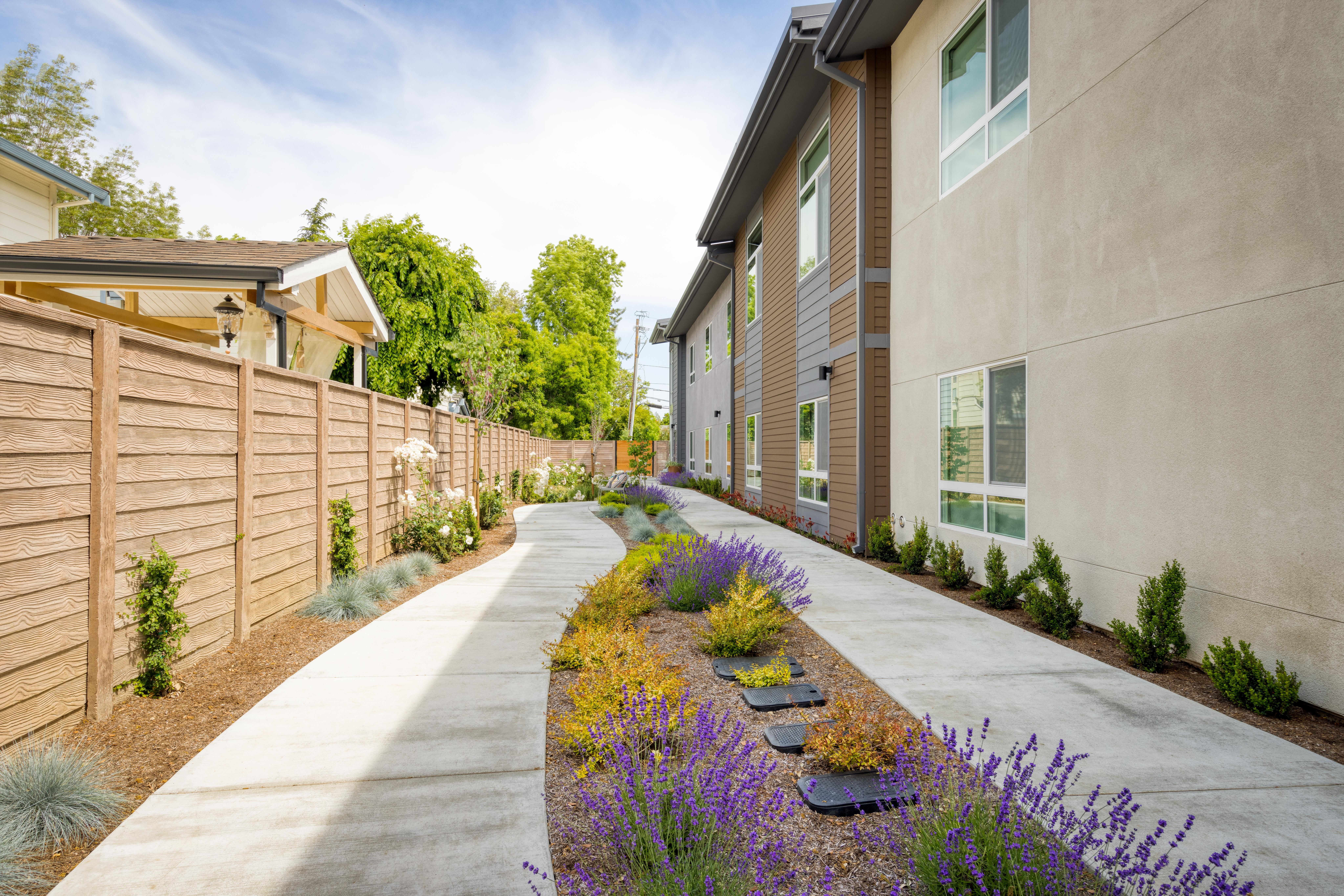 Ivy Park at San Tomas community photo 1