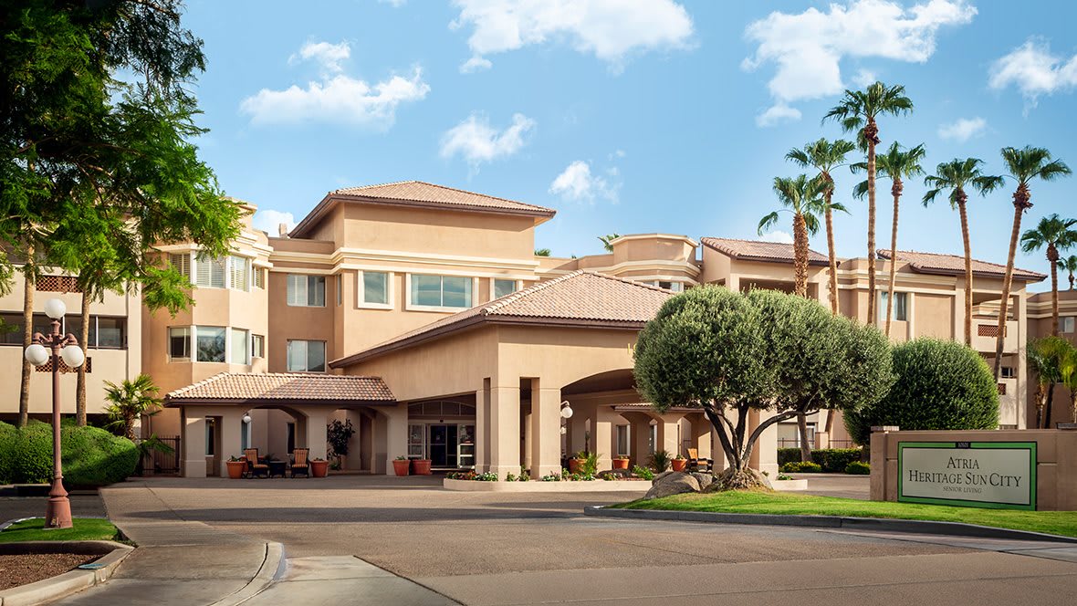 The Palms at Sun City community photo 1
