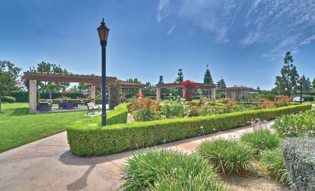 Ivy Park at Cerritos