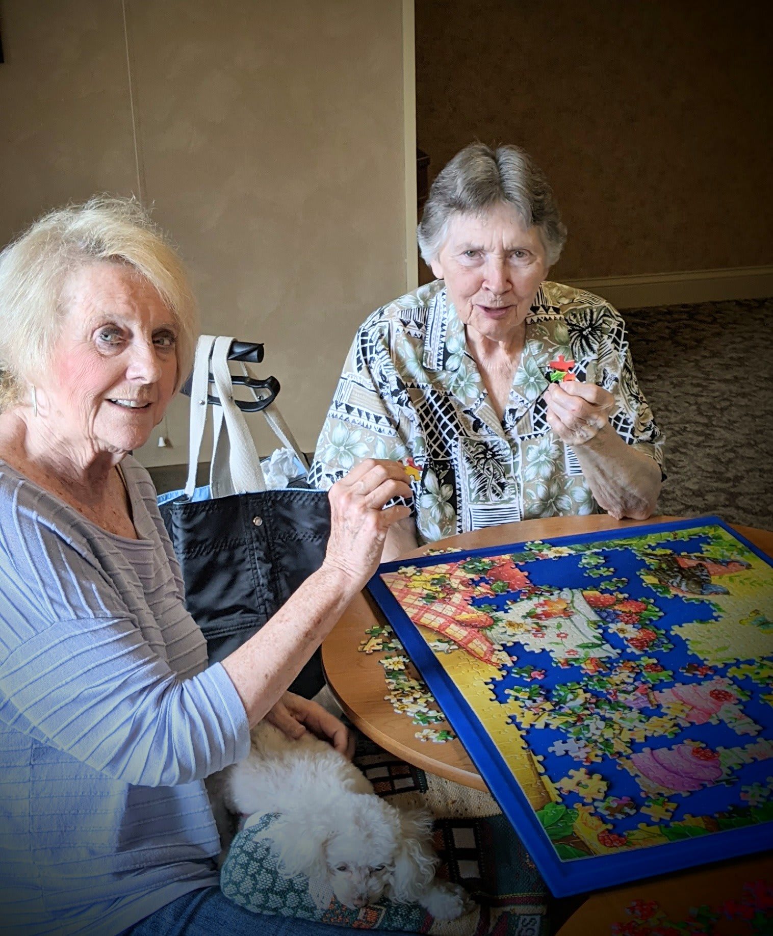 The Inn at Whitewood Village community photo 3