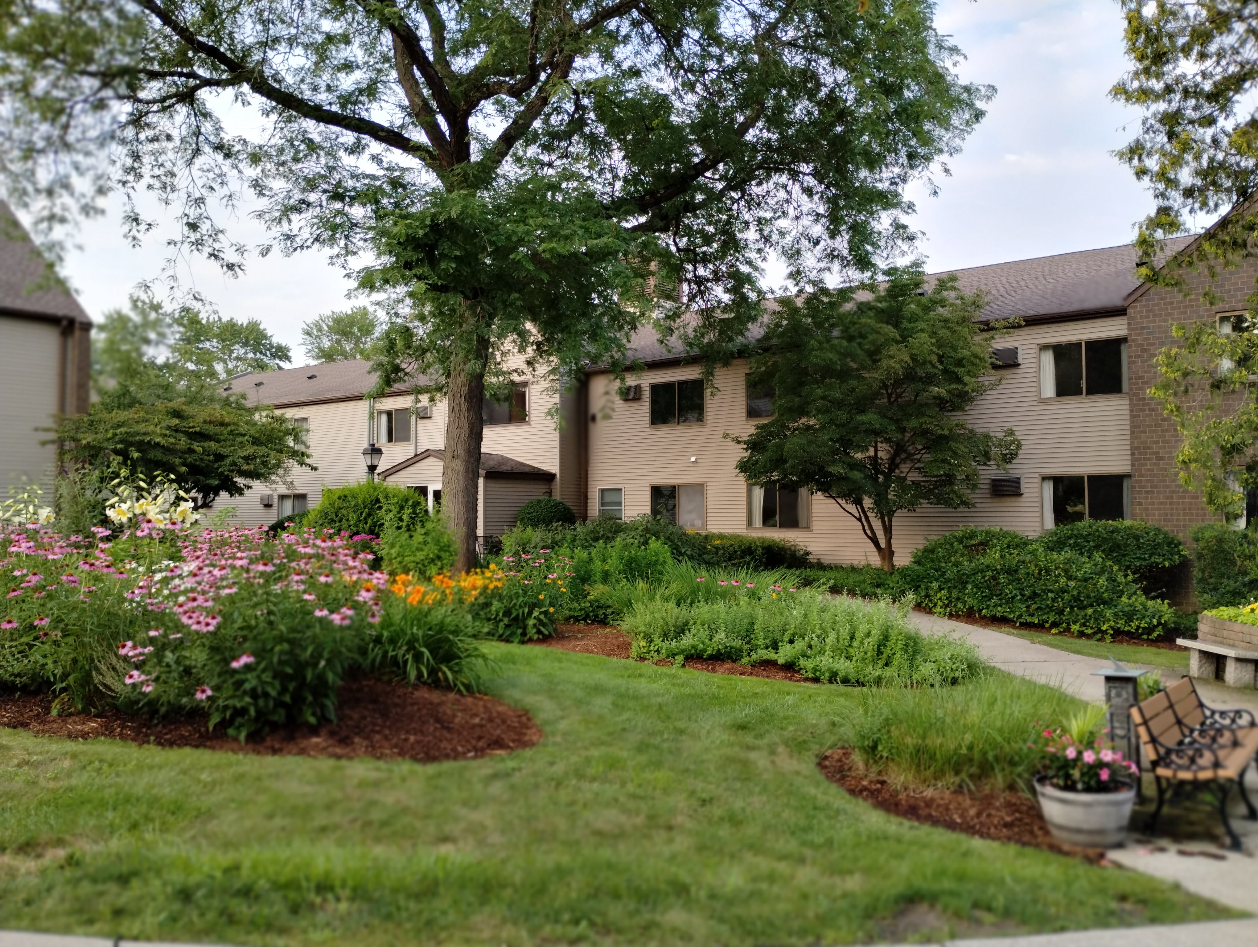 Day Brook Village Senior Living community photo 1