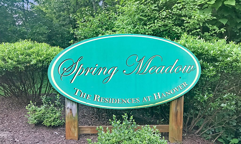 Spring Meadow community photo 1