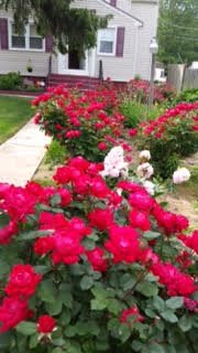 Pleasantview Home for Adults community photo 1