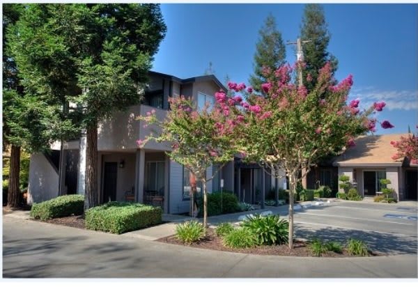 Arbor Manor Senior Cottage Apartments community photo 1
