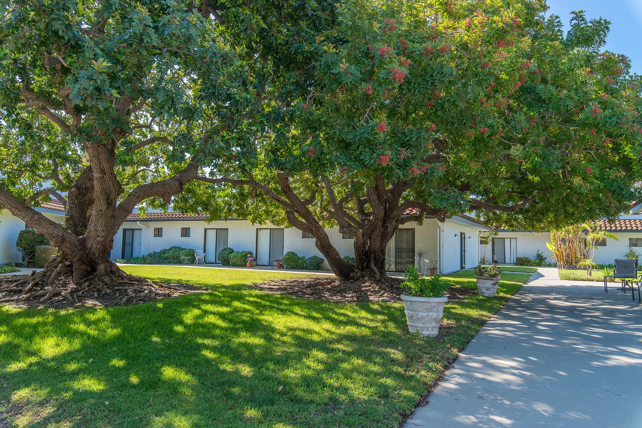 Park Place Assisted Living and Memory Care community photo 1