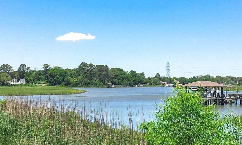The Landings at Bennett’s Creek community photo 5