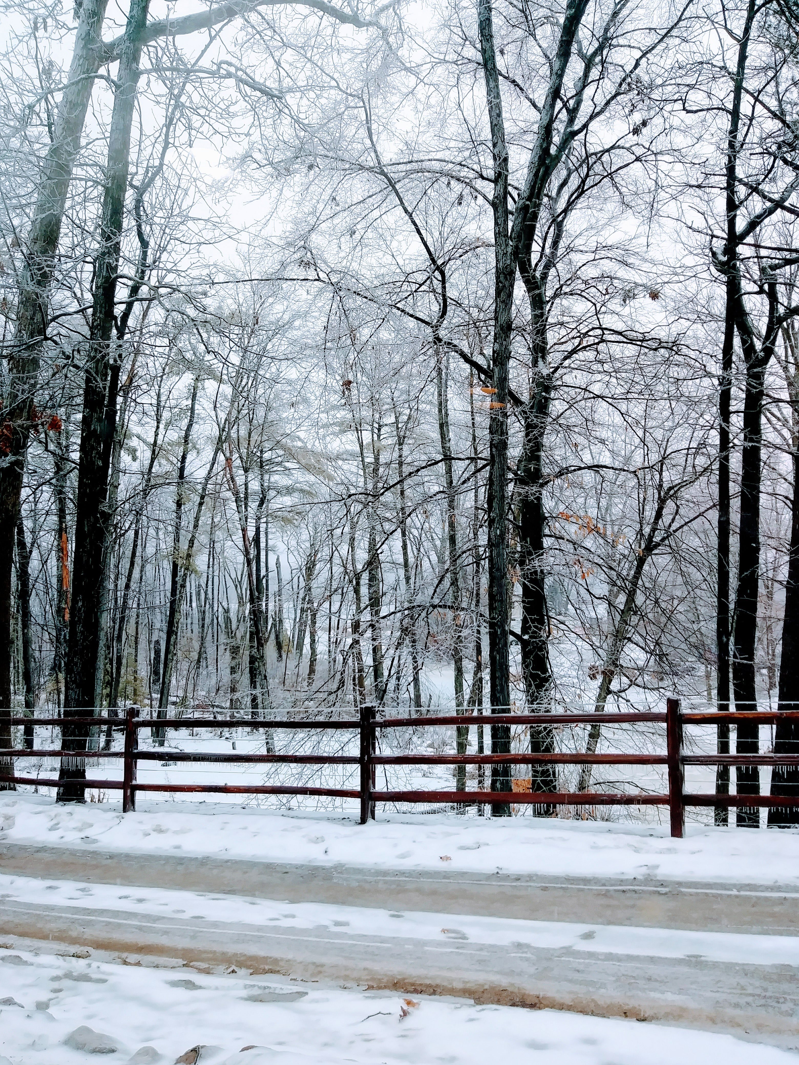 Bethesda Ranch AFH community photo 1