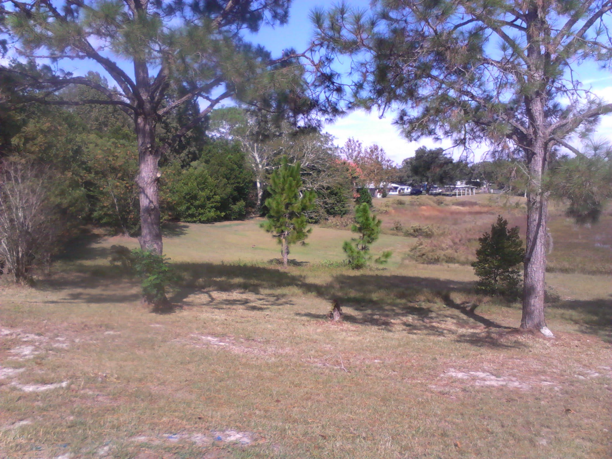 A Great Place to Stay AFCH community photo 3