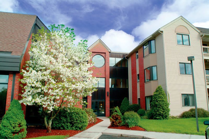 community exterior